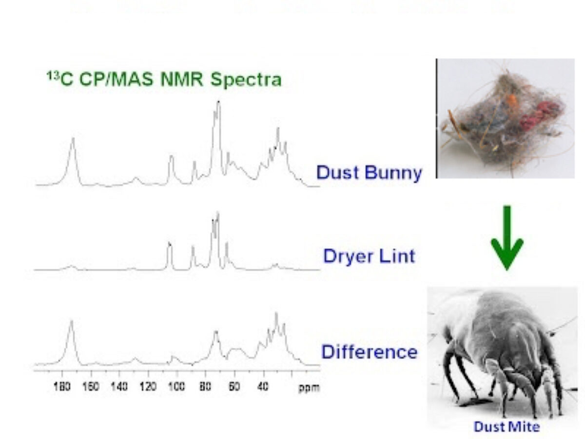 Spectro dust bunnies